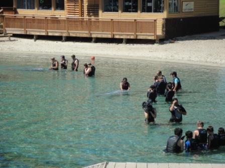 Dolphin adventure Hawaii